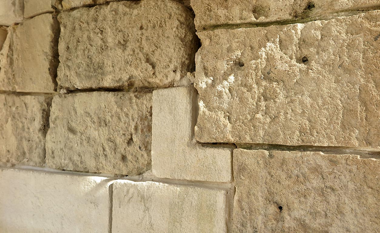 Horizontal Project Image